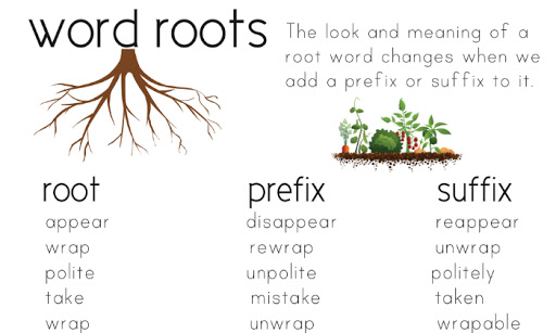 words with tincta botanical meaning